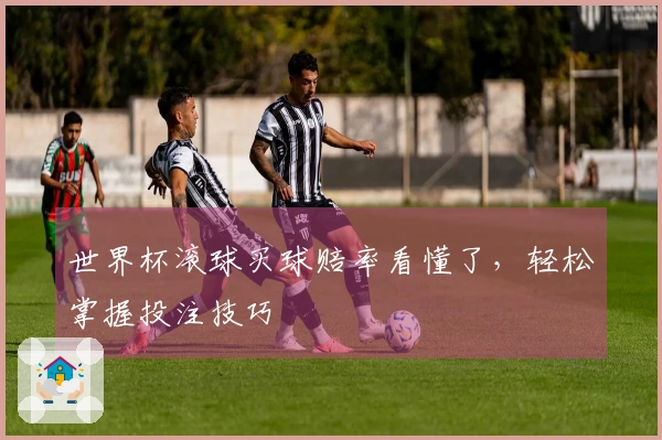 世界杯滚球买球赔率看懂了，轻松掌握投注技巧
