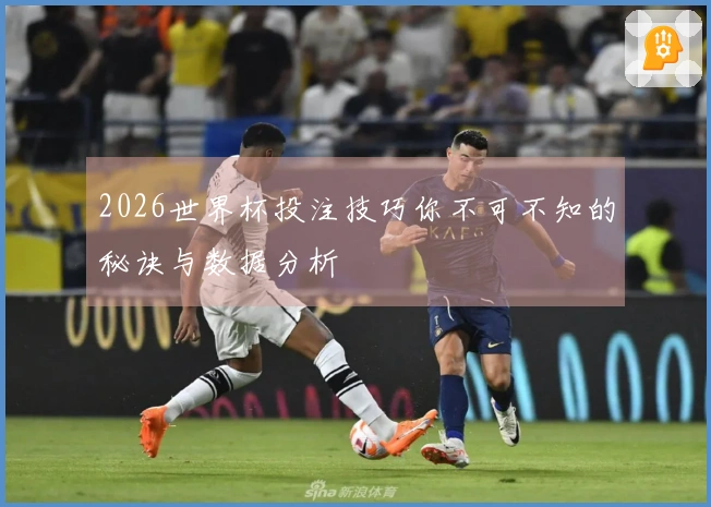 2026世界杯投注技巧你不可不知的秘诀与数据分析